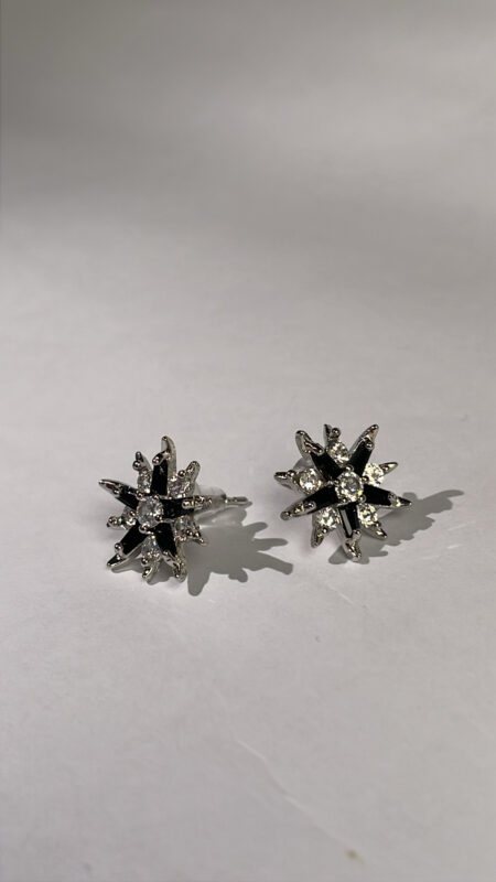 Roshany black earrings