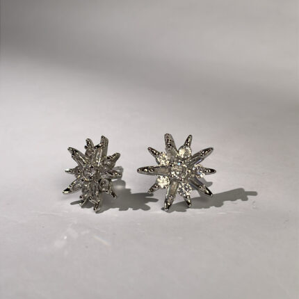 Roshany snow-white earrings